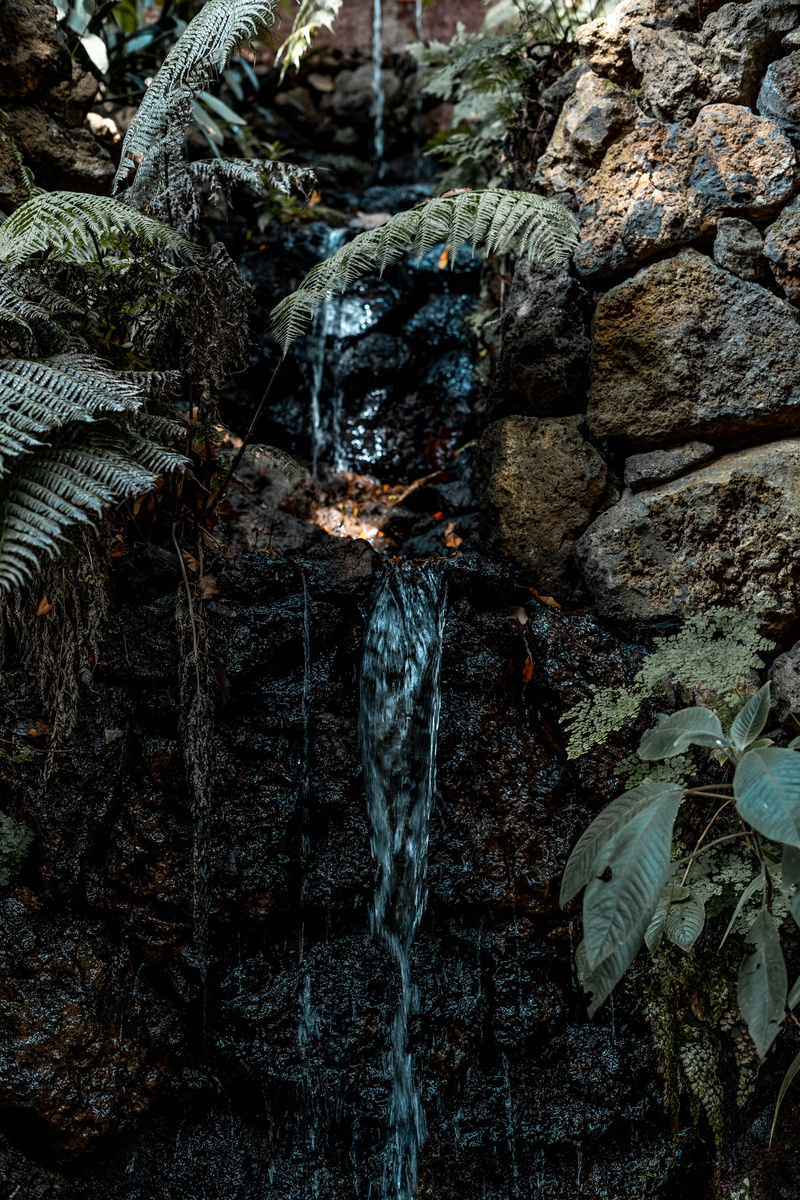 stone wall, water, solid, day, tree trunk, wallpaper1080, bark, rough, waterfalls, land, plant, waterrunning, textured, beautifulnature, close-up
