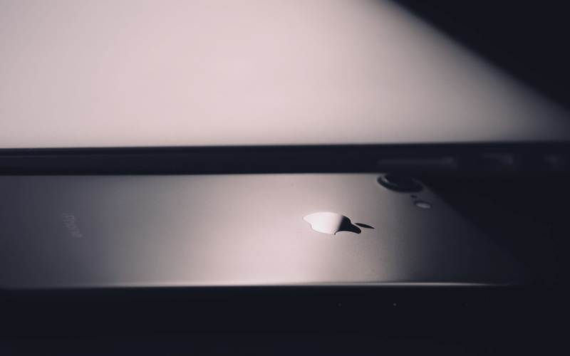 metal, animal themes, nature, indoors, tech, devices, sky, ceiling, space, black, offset, la habana, no people, animal wildlife, macbook, scenics - nature