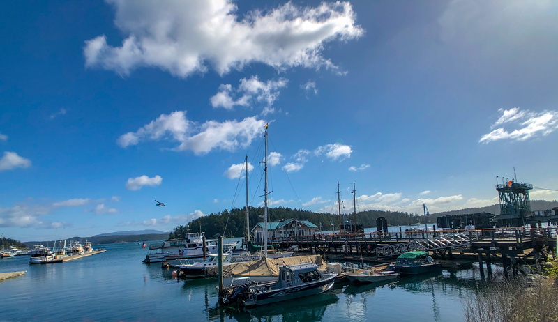 seaplane, scenics - nature, travel, beautiful, landscape, sanjuan, cloud - sky, pole, moored, water, no people, washingtonstate, island, fishing boat, harbor
