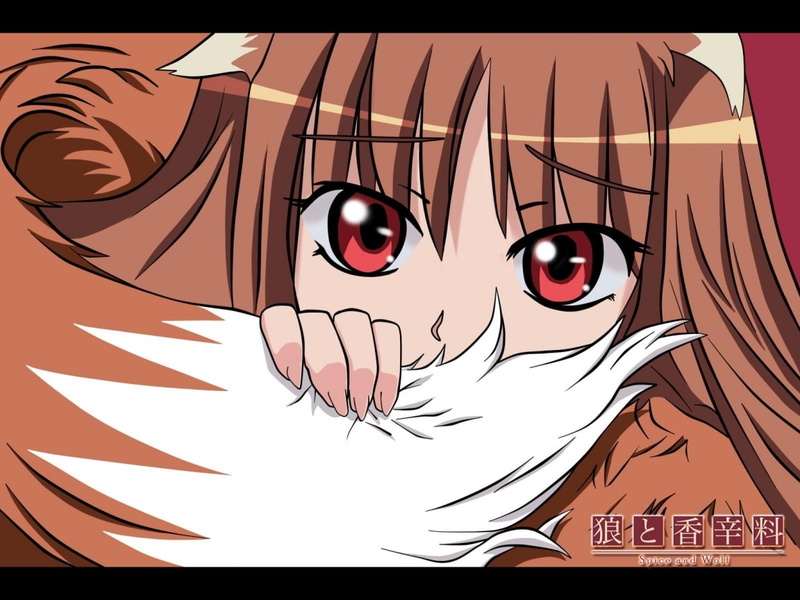 art, wolf, hot, hd, Spice and Wolf, 480P, ookami, wise, anime, holo, x, spice