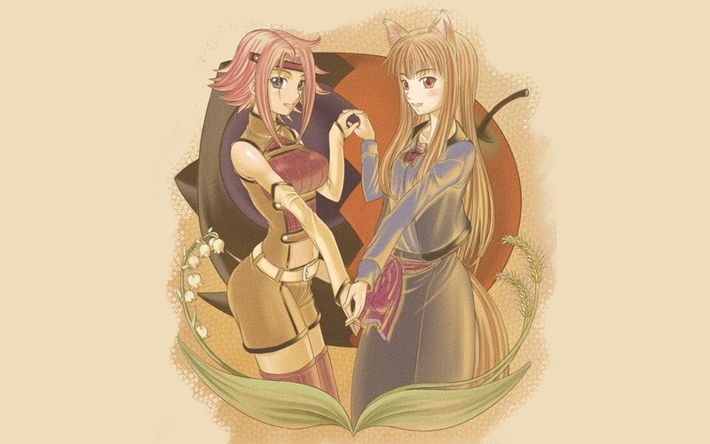 ears, crossovers, stadtfeld, code, geass, 1080P, wise, wolf, kallen, red, art, eyes, Spice and Wolf, animal, holo, spice, hd, Code Geass, anime