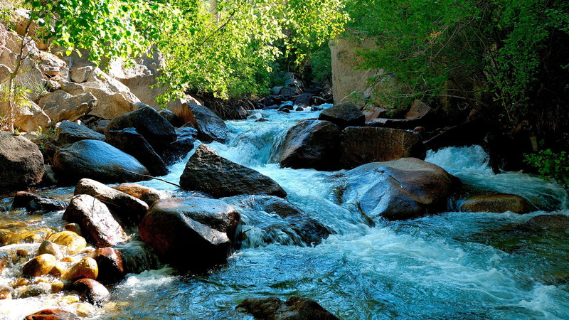 travel, trees, spring, waterfall, outdoors, park, mountain, national, land, summer, hippopotamus, forest, scenic, no people, motion, mountains, scenics - nature