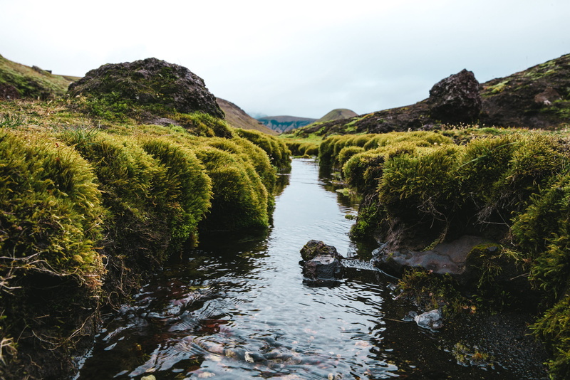 2K, forest, tranquility, green, reflection, moss, flowing, stream - flowing water, pond, cloudy, scenics - nature, leaves, outdoors, around, solid, rock