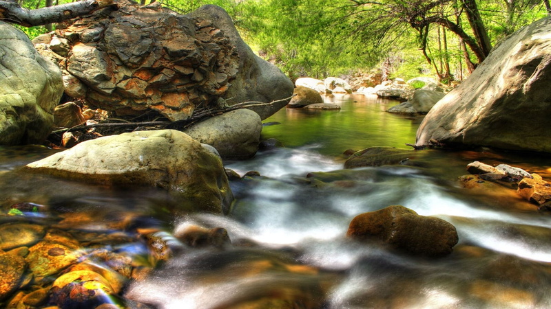 lake, natural, rock, stream, motion, tourism, terrapin, rock - object, flowing, trees, summer, scenery, rocky, pond, tranquil, rocks, scenics - nature