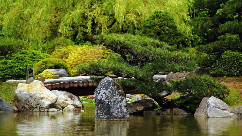 national, day, tree, natural, stone, mountain, scenery, environment, outdoors, outdoor, grass, scenics - nature, tranquil scene, travel, beauty in nature