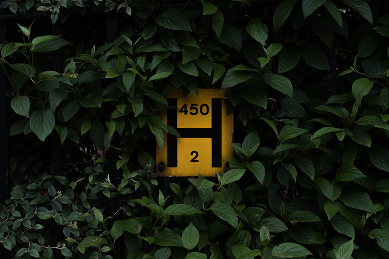symbol, plant part, guidance, plant, type, text, sign, nature, no people, leaves, wall - building feature, green color, typography, leaf, road, signage