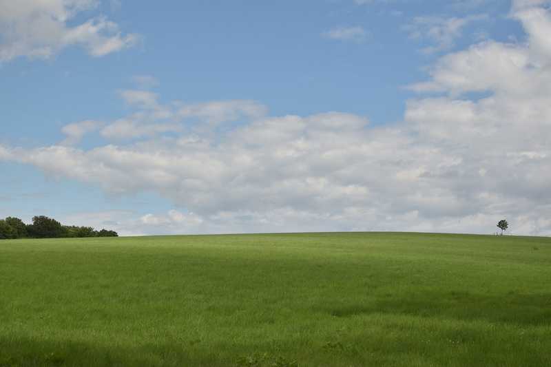 daytime, grass, 5K, tranquil scene, golf, cloud - Sky, leisure activity, landscape, rural Scene, scenics, golf course, beauty in nature, growth, tranquility