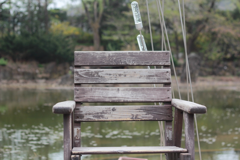 plant, flowing water, focus on foreground, tree, i think, nature, no people, 5K, waterfront, outdoors, water, close-up, park, absence, day, bench, wood - material