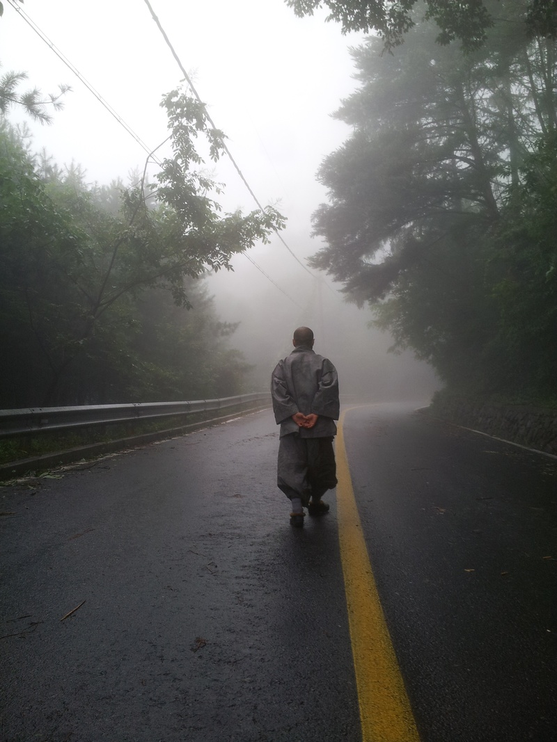 road marking, nature, transportation, full length, the way forward, men, fog, tree, road, marking, direction, lifestyles, topic, real people, performer