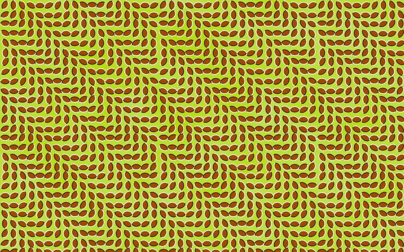 fashion, close-up, paper, geometric Shape, illustration, biology, 1080P, no people, computer Graphic, repetition, textured Effect, green, Pattern