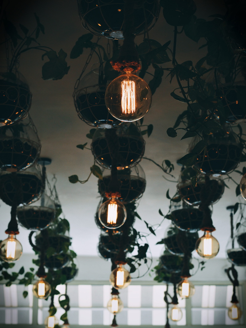 light - natural phenomenon, 5K, low angle view, window, lamp, lantern, bulbs, plant, vintage, hanging, no people, clear, electricity, lighting equipment