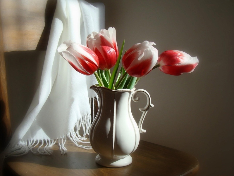 beauty In Nature, two-color, pitcher - jug, still life, vulnerability, indoors, vase, stole, vibrant Color, springtime, purple, easter, cut Flowers, yellow