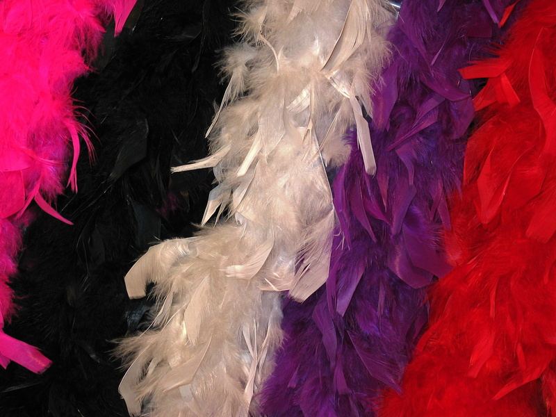 motion, Feather, Shawl, decorated, decoration, animal, fashion, feather Boa, 1080P, red, multi colored, indoors, panel, purple, celebration, arts culture and entertainment