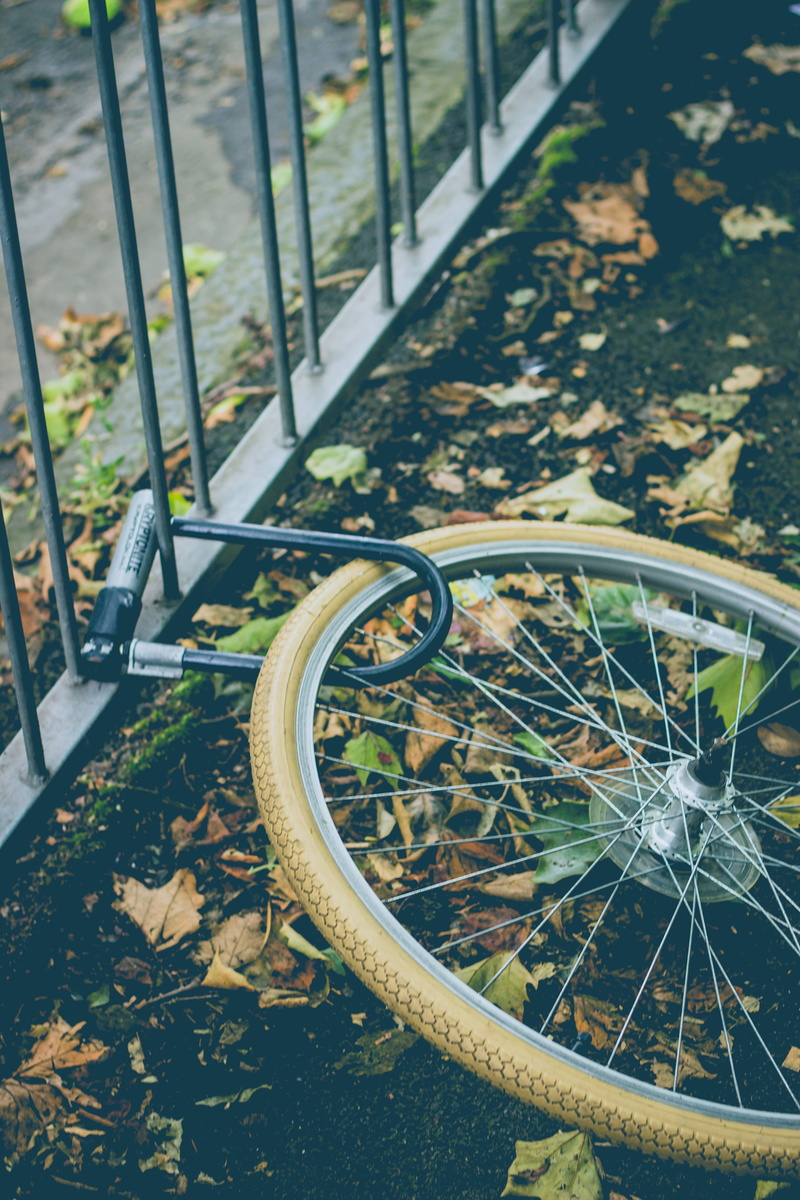 locked, fence, nature, mode of transportation, bike, spoke, close-up, glasgow, bicycle, railing, tire, focus on foreground, day, land vehicle, wheel, barrier