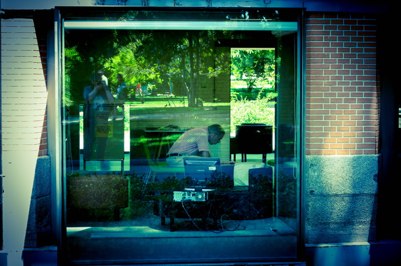 candid, green, madrid, glass - material, 4K, day, park, plant, library, real people, stolen, tree, nature, chair, table, spain, auto post production filter