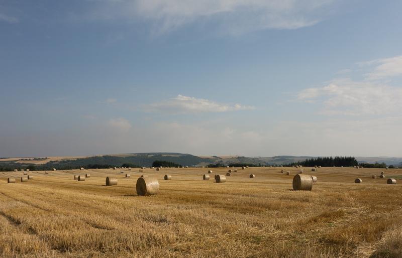 4K, harvesting, plant, farm, cloud - sky, summer, day, nature, no people, hay, animal themes, environment, agriculture, Round, rural scene, outdoors, round bales