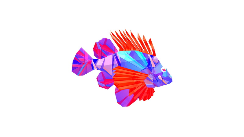 2K, white, hd, digital/artwork, abstract, fish, beta