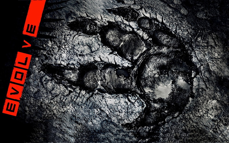 still life, number, no People, rock, solid, track, close-up, western script, overlay, evolve closed beta, rock - object, indoors, backgrounds, turtle rock studios