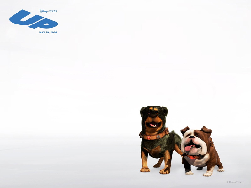 one animal, purebred dog, vertebrate, Disney, studio shot, domestic animals, small, white background, domestic, Gamma, no people, copy space, Up, Movie
