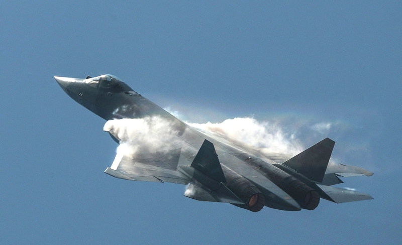 Sukhoi PAK FA, low angle view, on the move, 720P, mid-air, flying, animal wildlife, vertebrate, animal themes, animals in the wild, motion, air vehicle