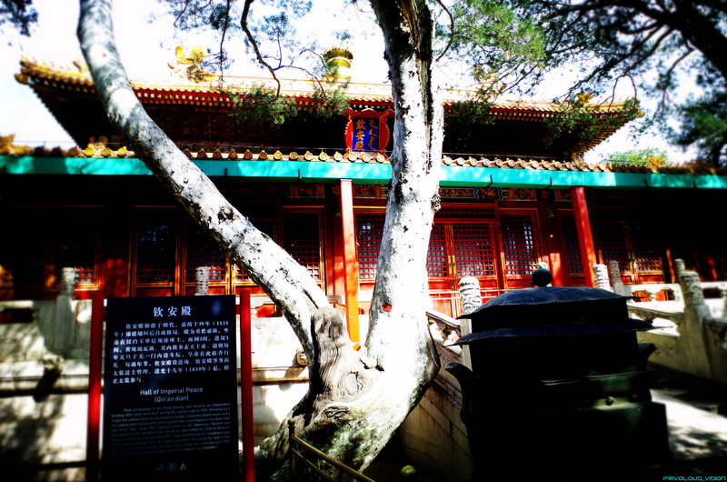 tree, no people, 4K, script, religion, day, Chinas wind, built structure, place of worship, spirituality, outdoors, building exterior, building, shrine
