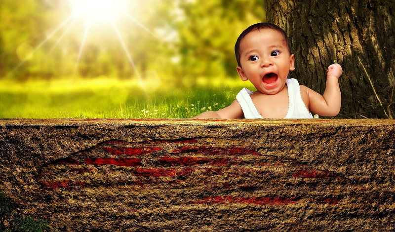 trunk, child, young, mouth, baby, sunlight, wearing, headshot, ranting, one girl only, looking at camera, near, portrait, cute, plant, human body part