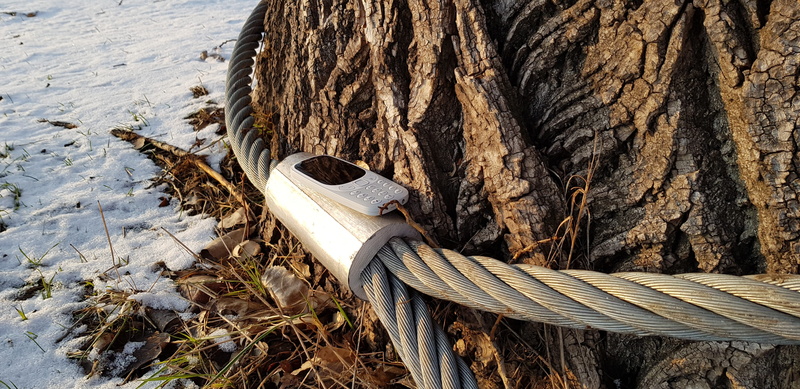 whip, strong rope, tree, rope, land, trunk, focus on foreground, cold temperature, bird, no people, ivory, animal, high angle view, close-up, winter, weapon