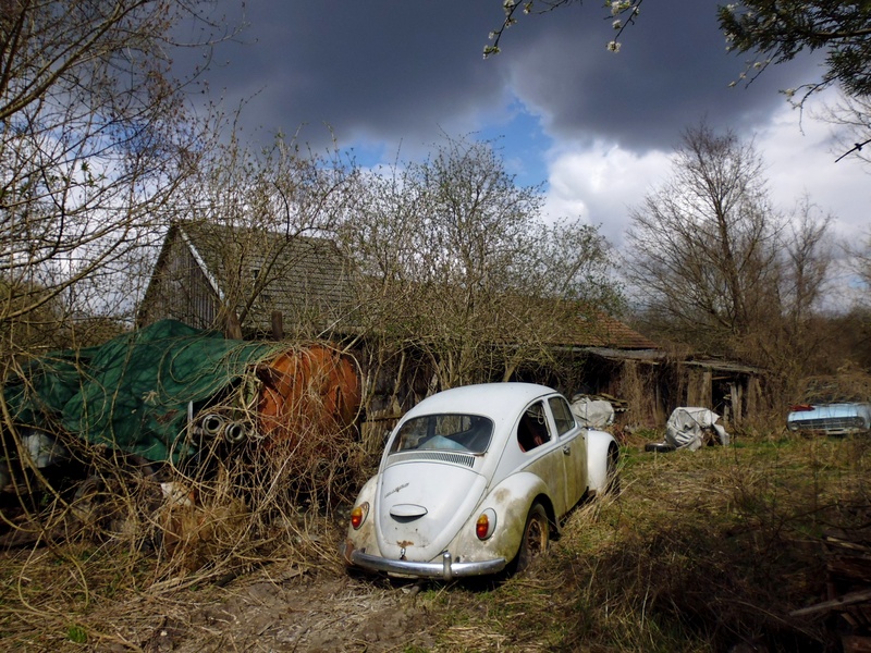 deterioration, no people, plant, field, junkyard, stainless, bare tree, vw, mode of transportation, wreck, day, transportation, metal, metal scrap, beetle