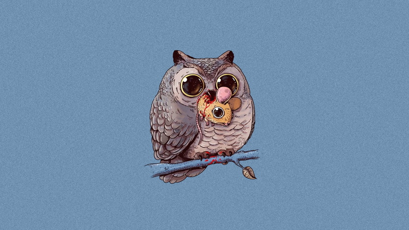 outdoors, owl, bird, animal themes, art, copy space, no people, food chain, gray, blue, nature, animal head, animal body part, animals in the wild