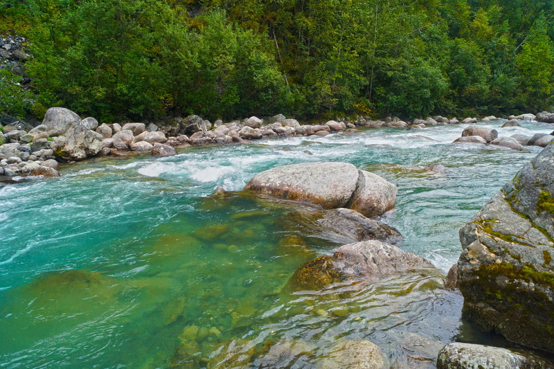 shallow, beauty in nature, stream - flowing water, nature, solid, flowing water, outdoors, hiking, Lake, land, forest, green, tranquility, no people, Pass