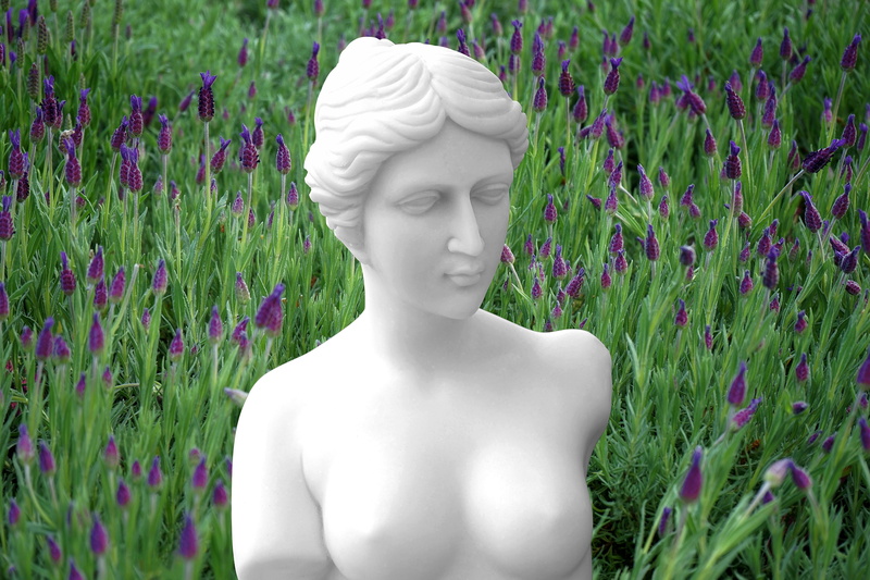 sculpture, male likeness, female, green color, greek, lady, gardens, plant, girl, 5K, flower, representation, growth, shirtless, stone, no people, field
