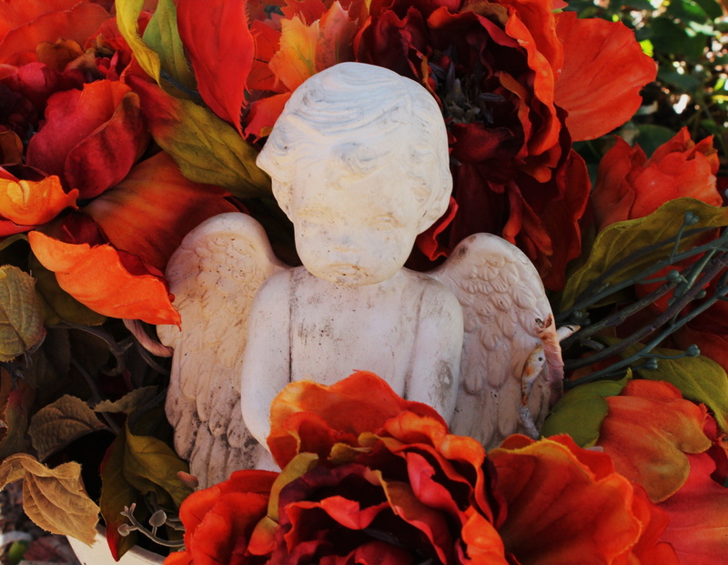 flowering plant, fragility, leaf, wing, nature, christian symbols, angel wings, child, angelic, peace, autumn, spiritual, close-up, stone, catholic, statue