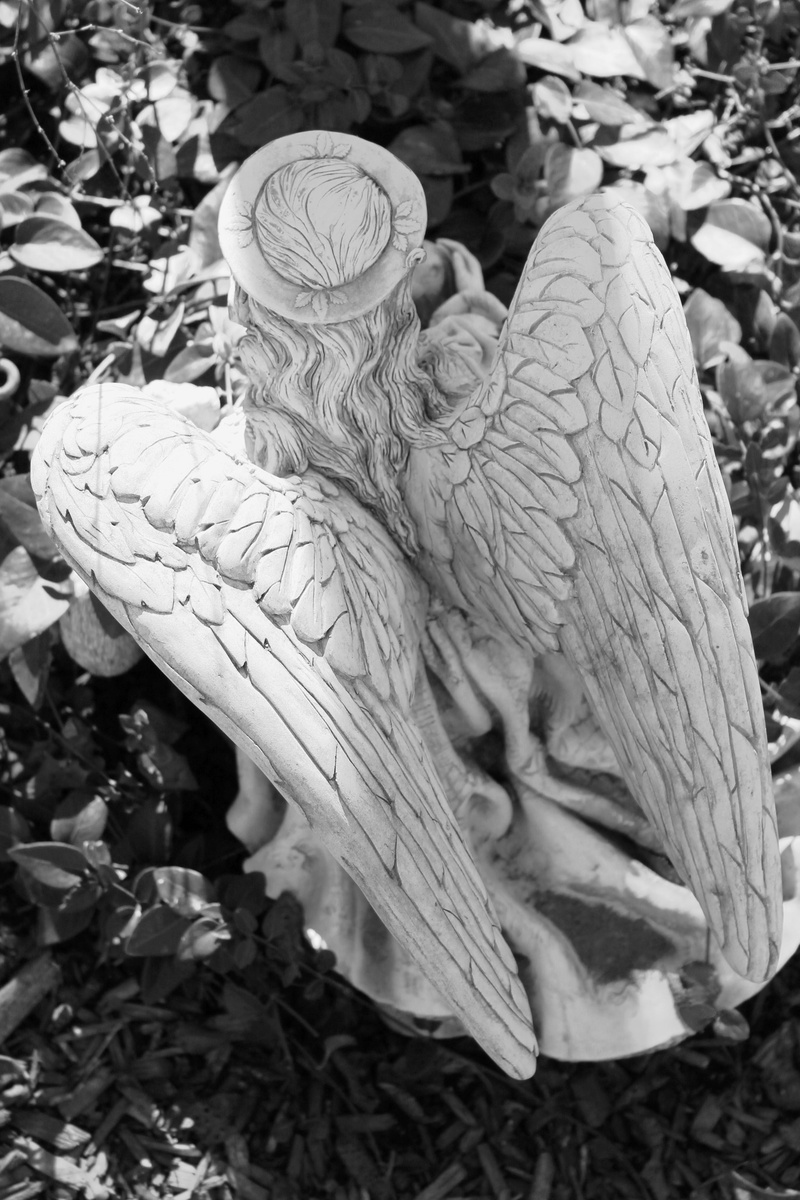 holy, plant, catholic, representation, human representation, stone, photo, craft, high angle view, creativity, outdoors, angel, leaf, heaven, graveyard