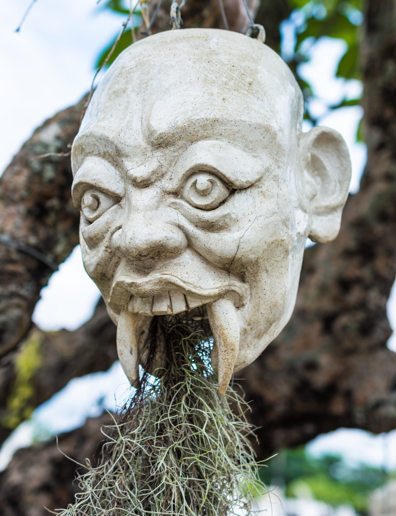 close-up, nature, outdoors, Mask, Sculpture, lion - feline, male likeness, Head, craft, 5K, tree, carving - craft product, solid, no people, plant, focus on foreground