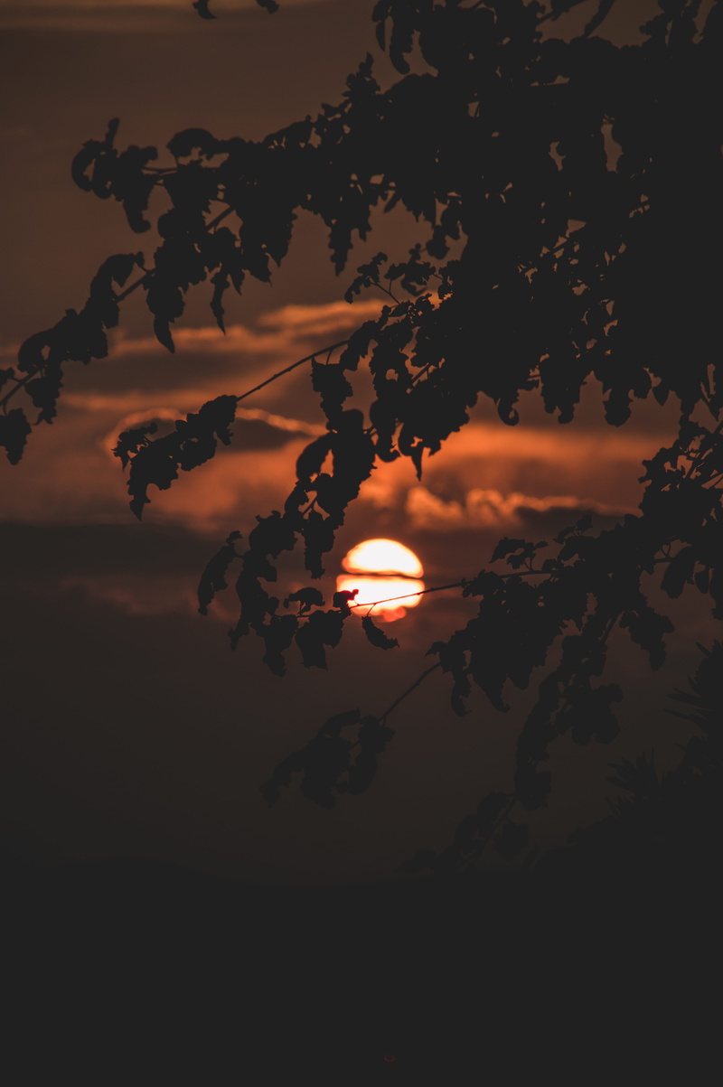 greece, clouds, orange color, outdoors, nature, sun, 5K, plant, decentralized administration of attica, sky, tranquility, idyllic, growth, no people, scenics - nature
