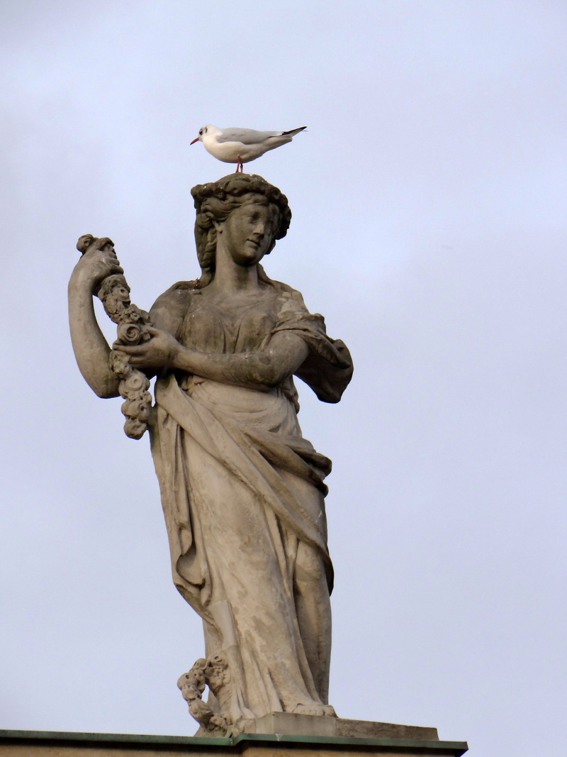 craft, statue, attica, creativity, an allegory, warsaw, palace on the island, sky, sculpture, the past, building, angel, history, architecture, human representation