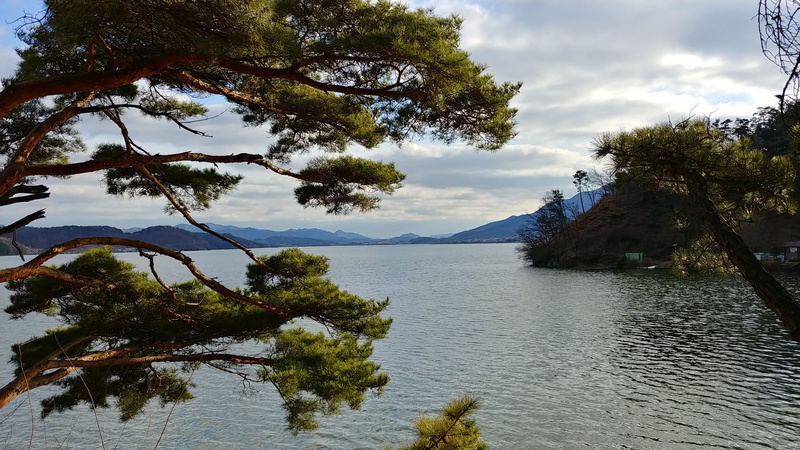 tranquility, 2K, non-urban scene, water, tranquil scene, cloud - sky, day, a landscape, branch, growth, nature, the body of water, tree, land, plant, no people
