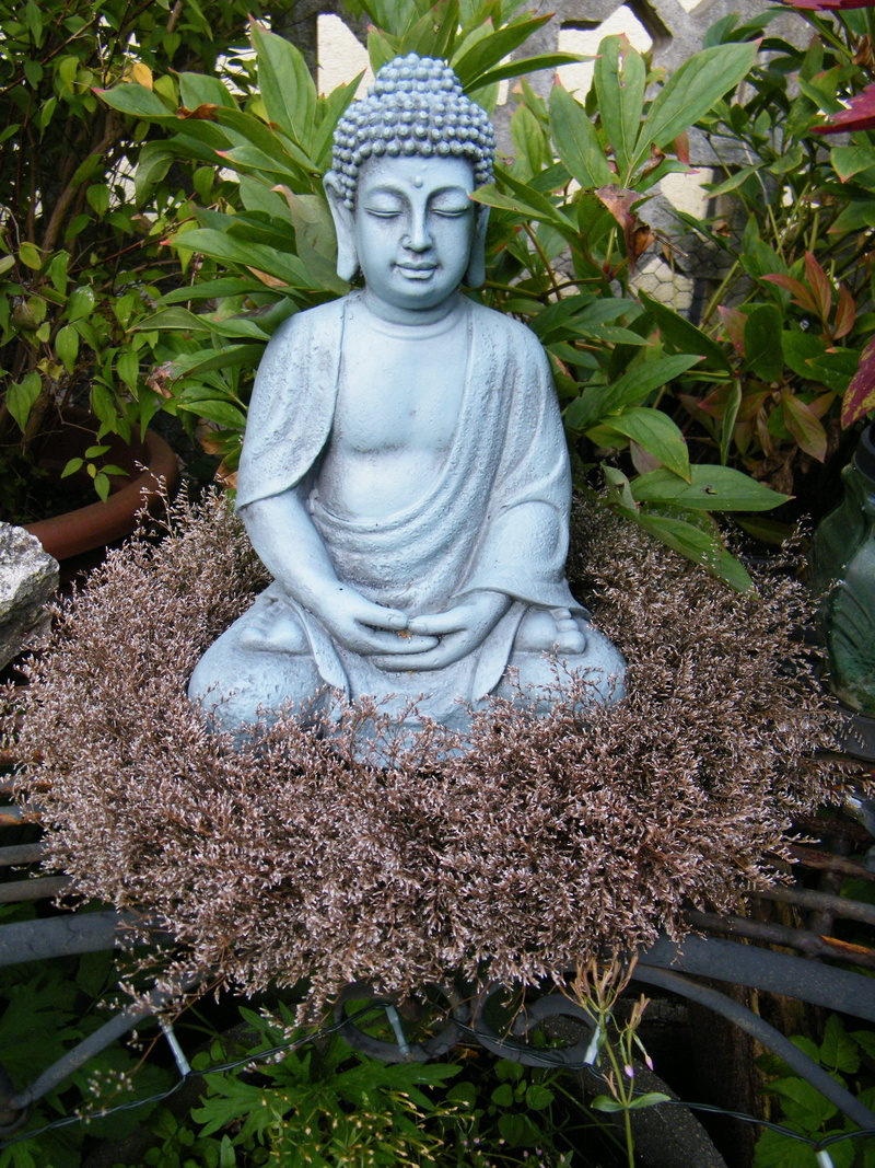 idol, budda, statue, plant, male likeness, art and craft, wreath, no people, day, leaf, human representation, growth, outdoors, sculpture, nature, creativity