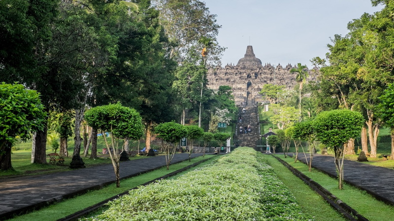 growth, the past, religion, borobudur, architecture, outdoors, no people, building, built structure, nature, travel destinations, place of worship, building exterior
