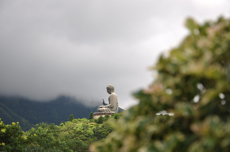 animal wildlife, vertebrate, looking, 4K, contemplation, mountain, white, cloudy, buddha, statue, one animal, sky, nature, growth, day, perching, outdoors