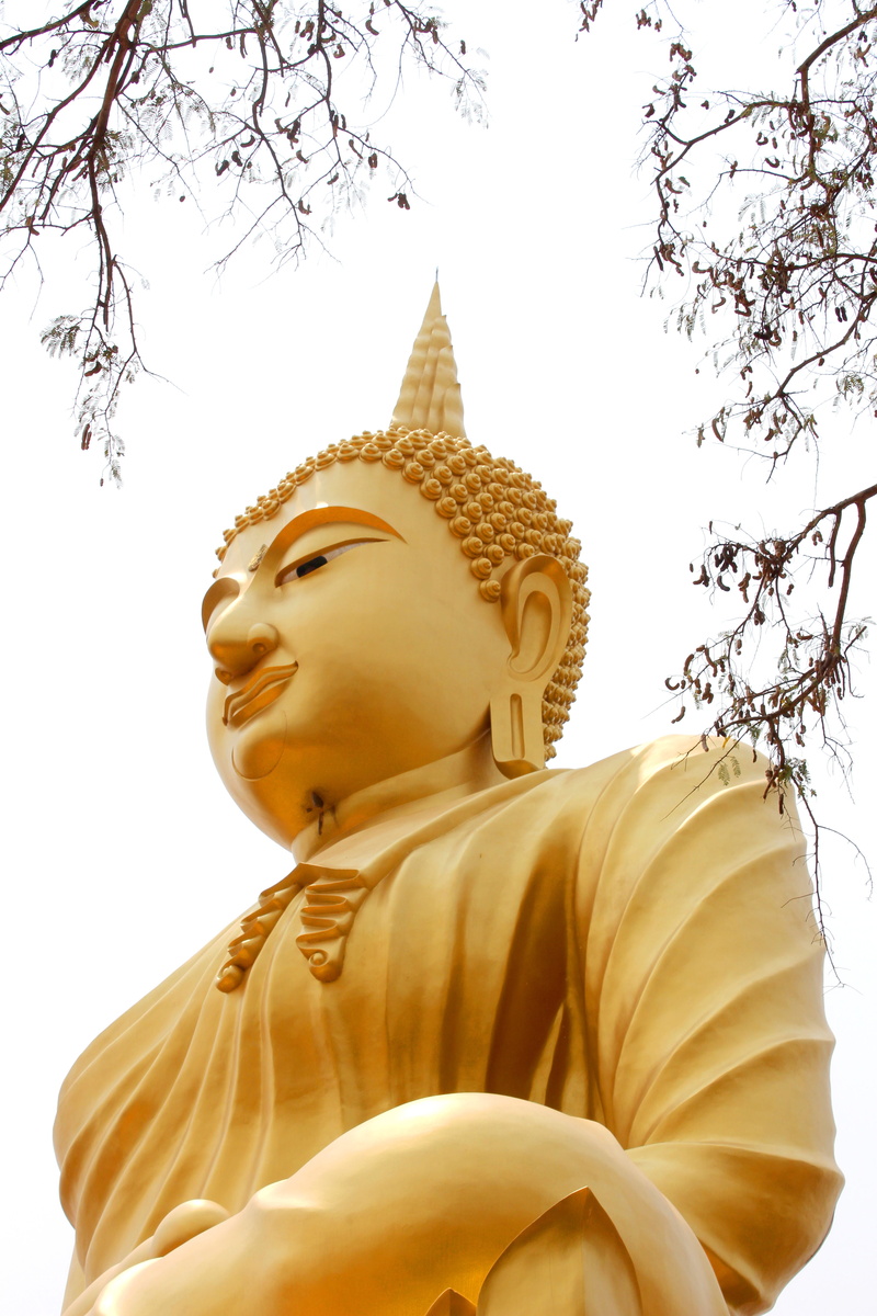 leaves, gold, built structure, statue, buddhist, sculpture, 5K, golden, buddha, representation, human representation, gold colored, belief, antique, ancient