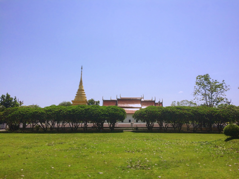 tourism, nature, culture, buddhism, travel destinations, beautiful, plant, travel, building exterior, sky, built structure, belief, city, clear sky, spirituality