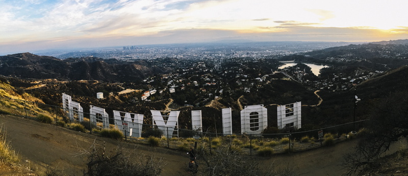 tree, plant, townscape, day, building exterior, signs, nature, landmark, city, hollywood sign, outdoors, cityscape, scenics - nature, no people, architecture