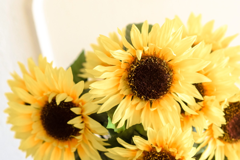nature, sunflower, flower arrangement, yellow, botanical, plant, floral, gerbera daisy, focus on foreground, day, anther, no people, bright flower, yellow flower