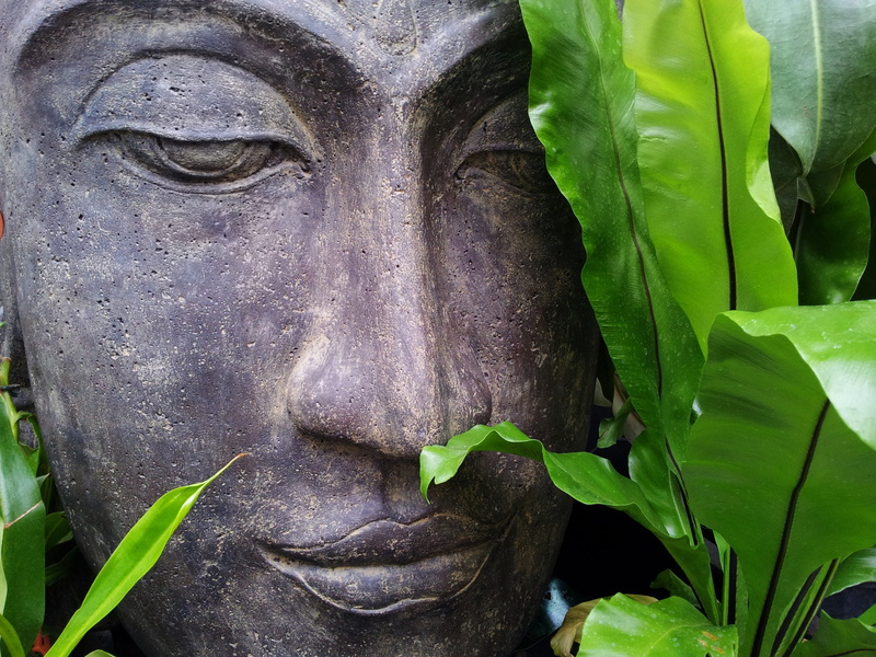 outdoors, growth, sculpture, buddha, art and craft, buddah, no people, craft, relax, creativity, religion, art, brown, statue, spirituality, plant part