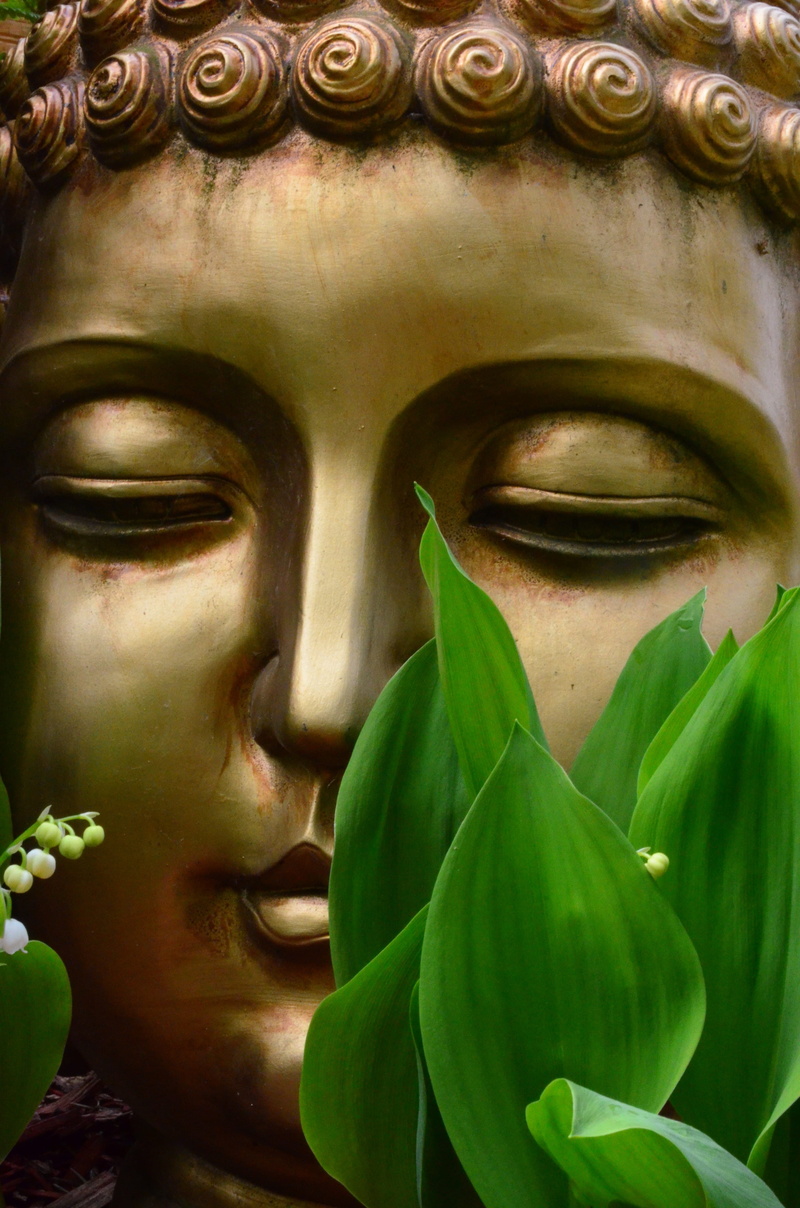 art and craft, craft, buddah, 4K, female likeness, close-up, green, buddha, belief, male likeness, plant part, day, plant, religion, architecture, leaf