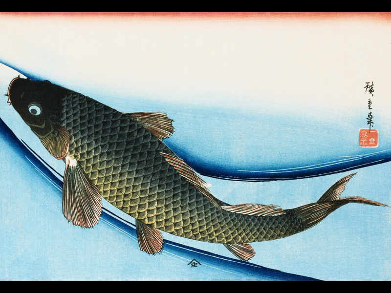 day, mode of transportation, fish, transportation, clothing, nautical vessel, 1080P, blue, painting, high angle view, casual clothing, still life, transfer print