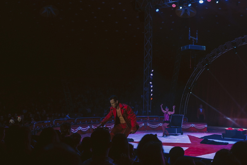 people, show circus, enjoyment, performer, concert, stage, light, artists, performance, guy, nightlife, crowd, talent, stage - performance space, lisbon