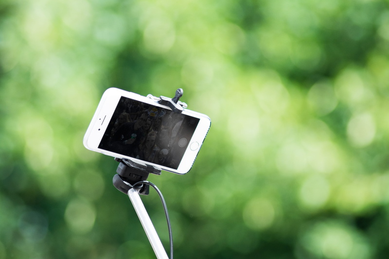 white, device, phone, iphone, iphone 6, focus on foreground, tree, group photo, electrical component, smart phone, photography themes, digital camera, communication