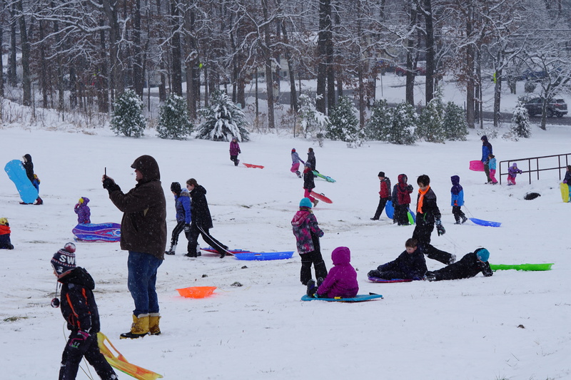 piste, adventure, covering, playing, slide, real people, men, tire, nature, human, winter, dogsled, plant, mixed age range, tree, clothing, crawling, sled